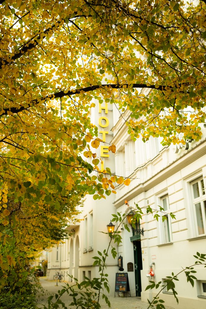 Home Discover a quaint boutique hotel enveloped in vibrant autumn leaves, capturing the warmth of fall.